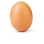 Egg Cult of robloxia