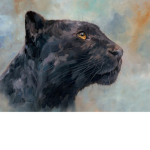 The Panther Gang