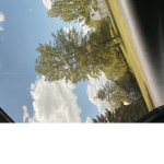*##############*