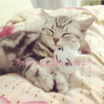 ~*sweetdreamz*~