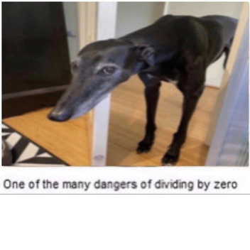 A very long table (and room)