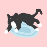 犬猫