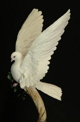 DTI DOVES Roblox group icon