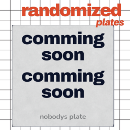 RANDOMIZED PLATES [WIP]