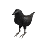 #TeamCrow