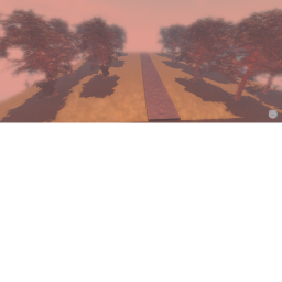 lost forest