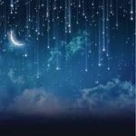 The Starry Night
