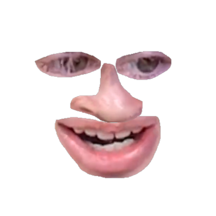 flamingo face Roblox decal