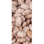 The Beanz Nation