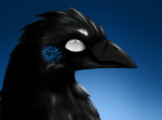 Raven empireee