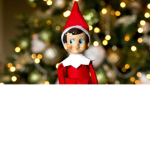 The Magical Elves Of Christmas!!