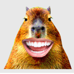 Capybara studios Roblox