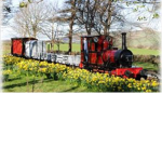 THE ROBLOXIAN NARROW GAUGE SOCIETY