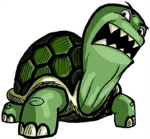 Mean Turtle Group