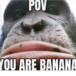 Chimp Moment
