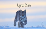 |~.Lynx Clan.~|