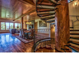 Poke mon Tree House