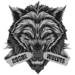 - Rogue Studios -