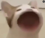 Marker Epic Memers Best Fwiend