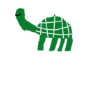 The Timmy Turtles