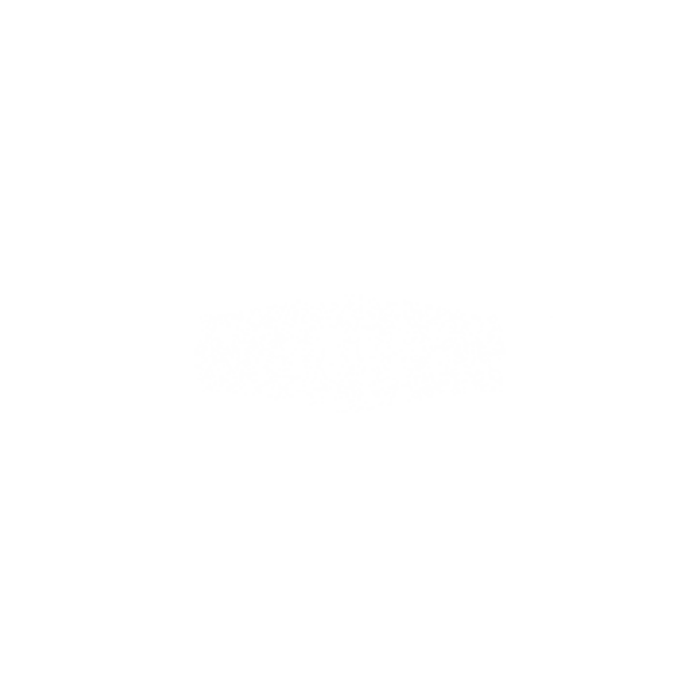 DOORS Spark Roblox decal