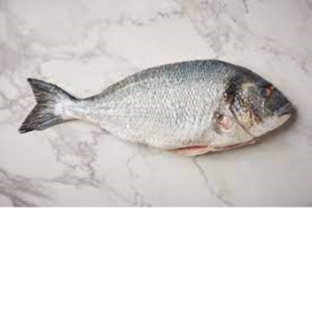 what to do when your fish jumps outta the tank