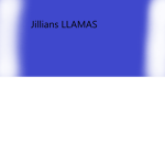 Jillians llama group