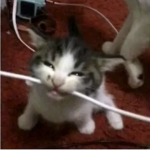 Ploysuay