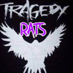 Tragedy Rats Gym
