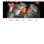 Rats plans