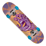 tony halk skateboarders