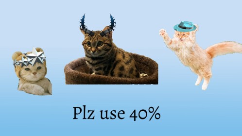 40% 