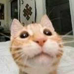 -Club Oof-