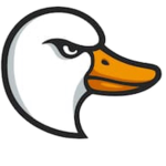 The Goose Group