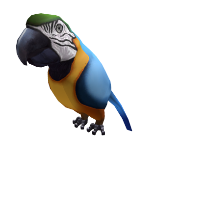 Macaw Shoulder Friend