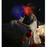 N_e_x_r_a