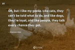 Certified Silly Geese