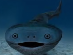 Smth fishy.........