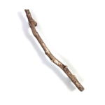 Twigs Almighty