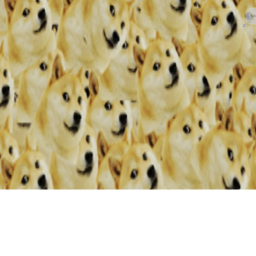 Offical doge club :D fan club game!