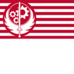 Brotherhood of Steel: Capital Wasteland Chapter