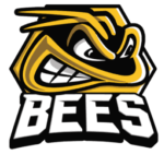 Bees ice hockey club