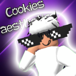 ~cookies aesthetic clothing store~