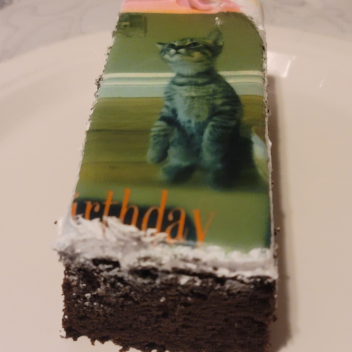 Untitled kitty cake