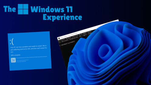 The Windows 11 Experience