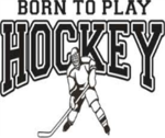 RHL [ Roblox hockey league ]