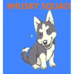 TEH #HUSKY SQUAD