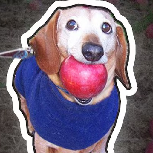 [НОВОЕ] УБЕГИ ОТ СОБАКИ С ЯБЛОКАМИ 