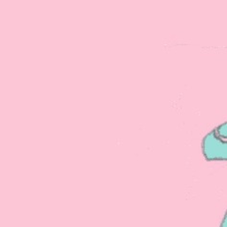 ⋆ . ✿