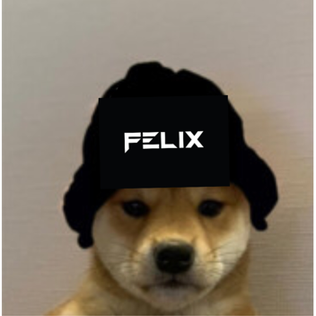 Felix's Time Trial